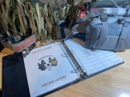 K9 Health and Kennel Tracker (Digital Download) - Image 3
